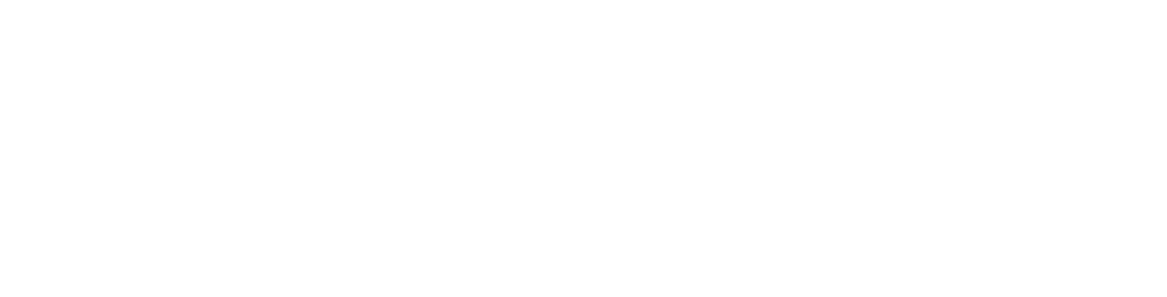 DPMD_White_Logo__2_.png